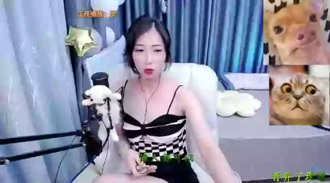 Jiajia-