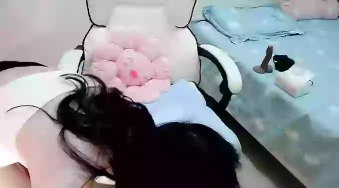 susu-dy