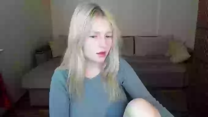 ShyyFox