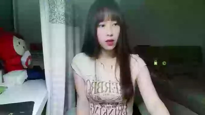 JIU_Cat
