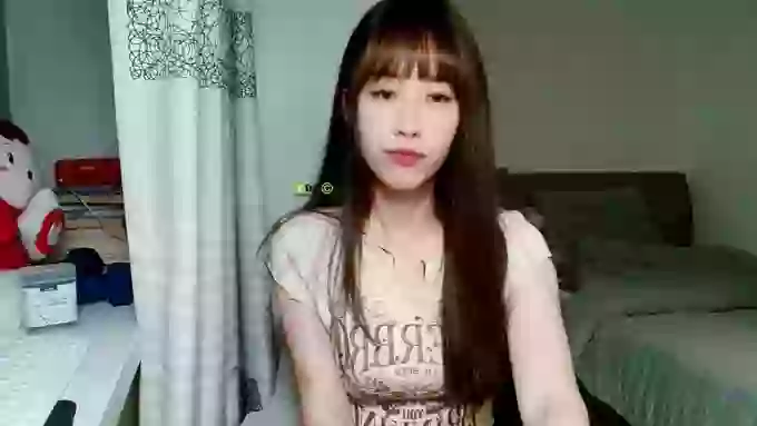 JIU_Cat