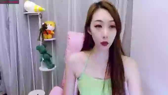 MARiA_Top