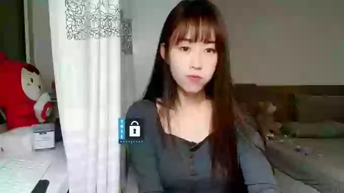 JIU_Cat