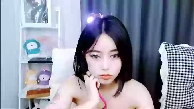 aijiajia