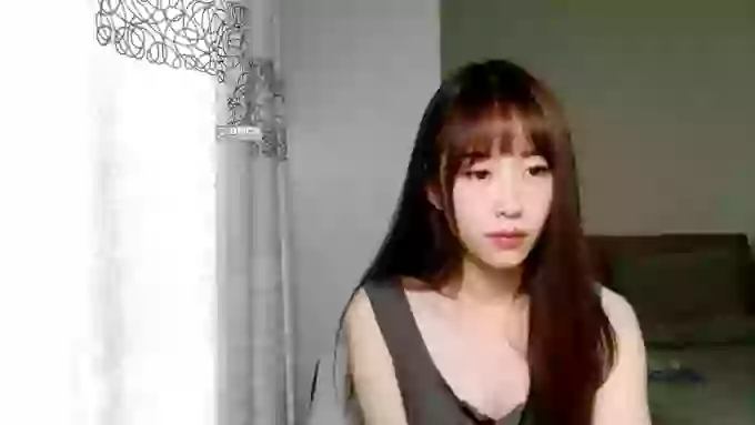 JIU_Cat