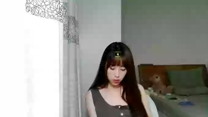 JIU_Cat