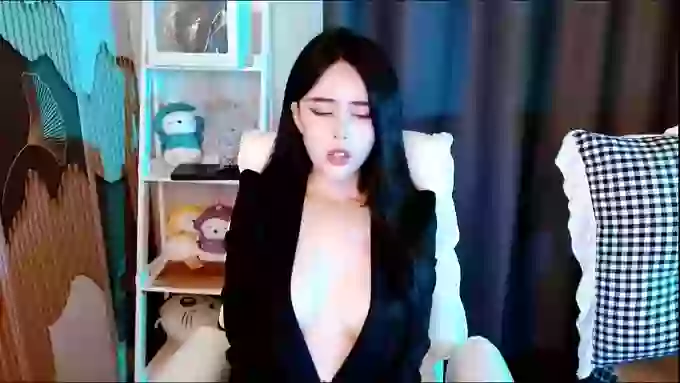 aijiajia