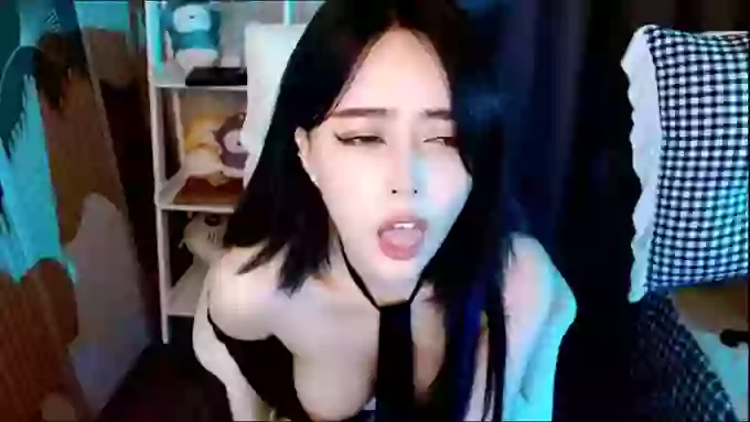 aijiajia