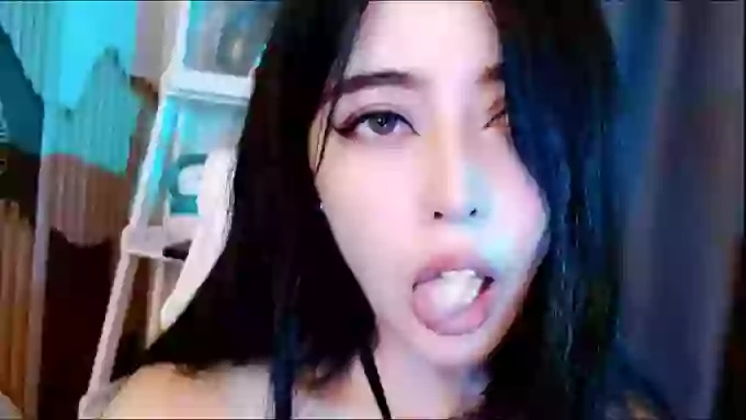 aijiajia