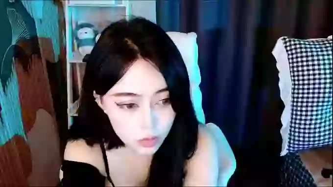 aijiajia