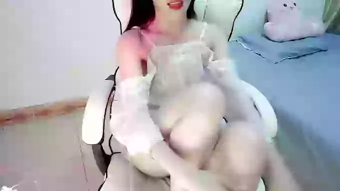 susu-dy