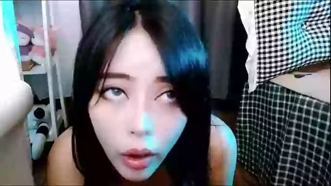 aijiajia