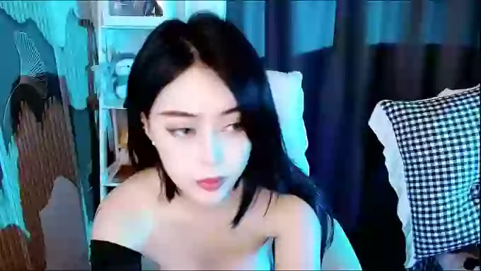 aijiajia