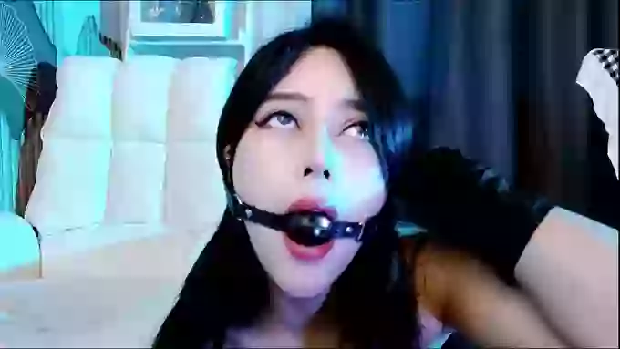 aijiajia
