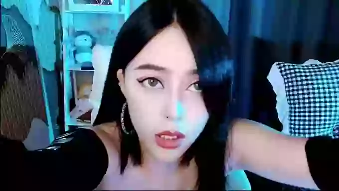 aijiajia