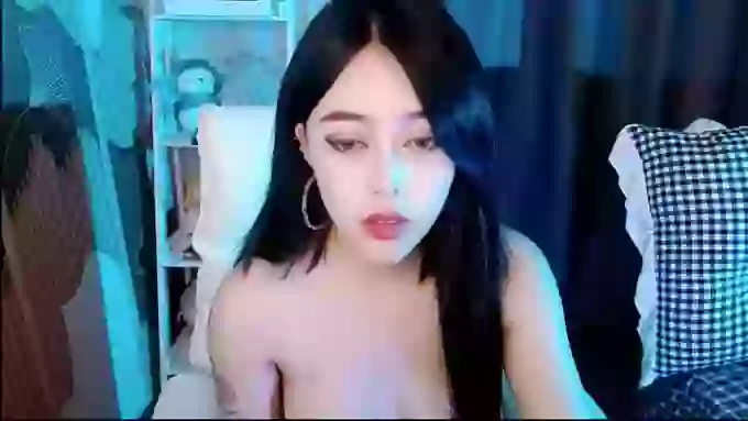aijiajia