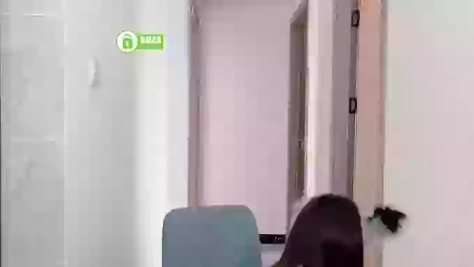 Aafairy