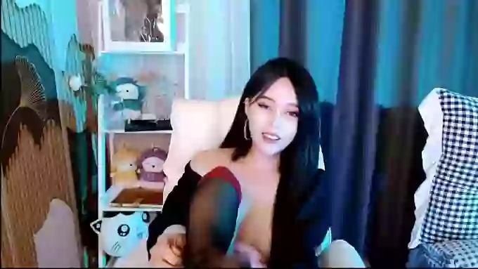 aijiajia