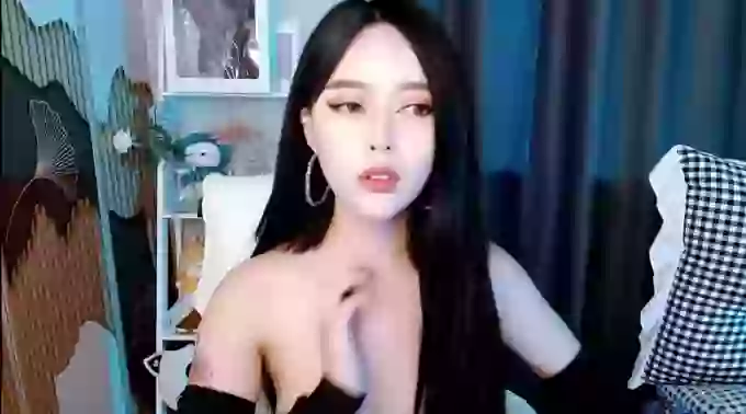 aijiajia
