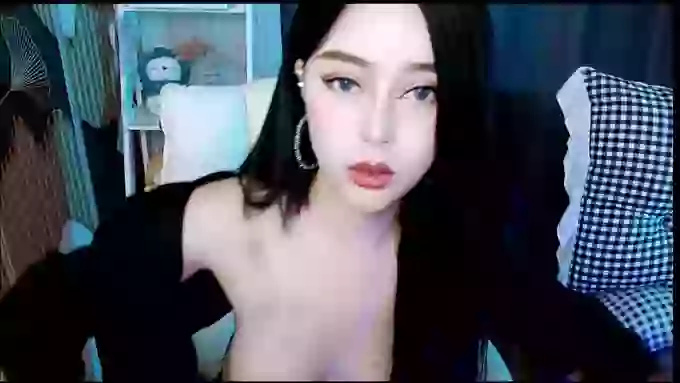 aijiajia