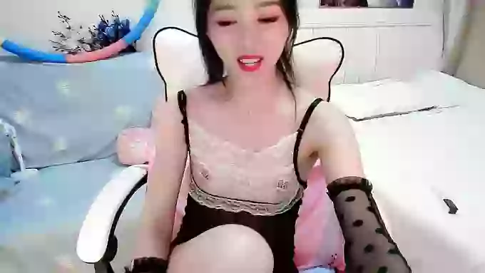 susu-dy