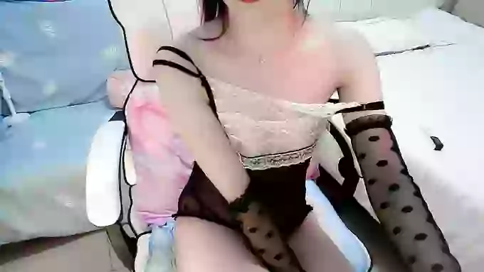 susu-dy