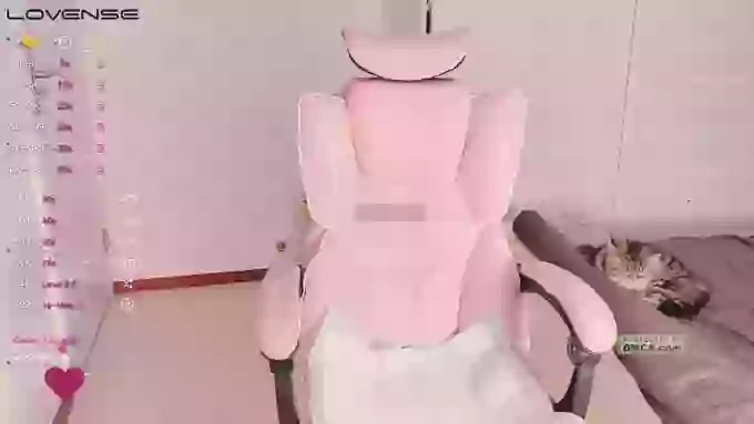CNNANAoo