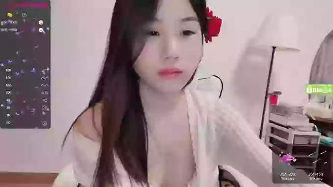 lixueer