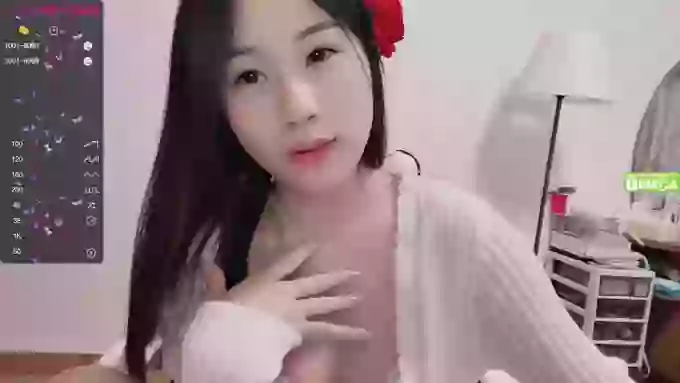 lixueer