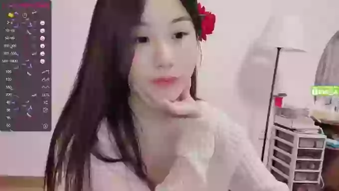 lixueer