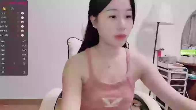 lixueer