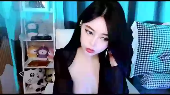 aijiajia