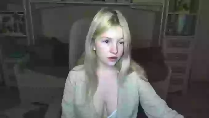 ShyyFox