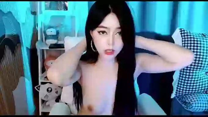 aijiajia