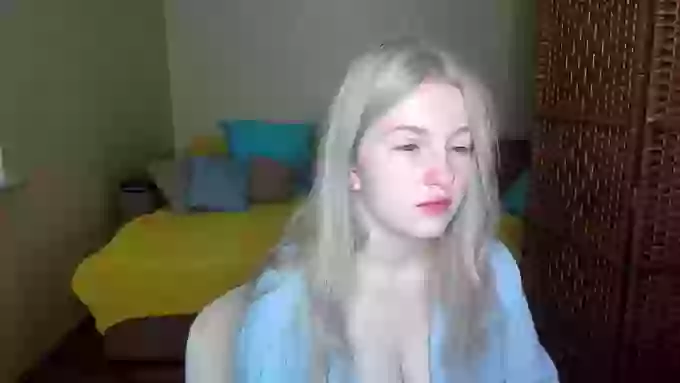 ShyyFox