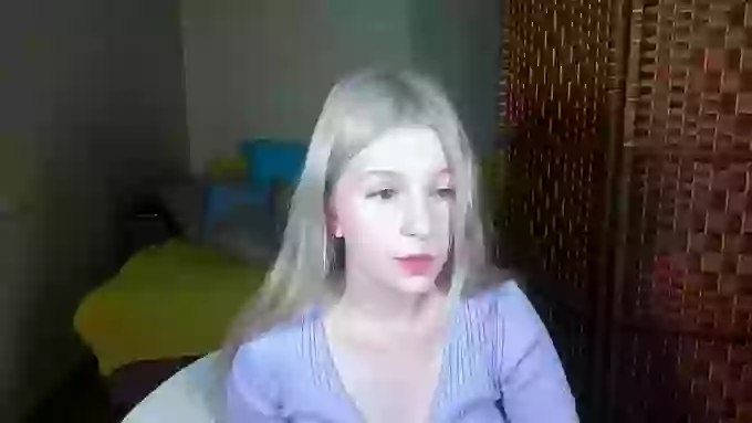 ShyyFox