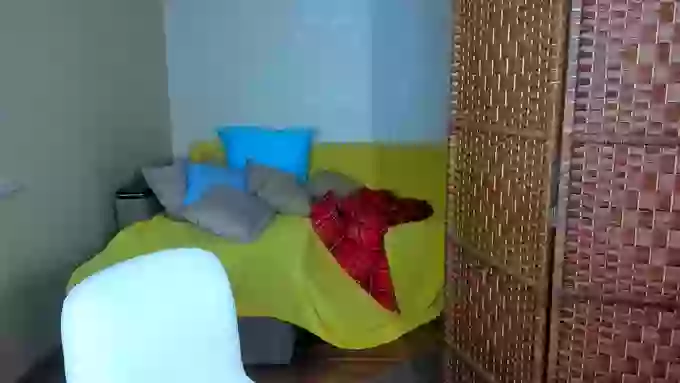 ShyyFox