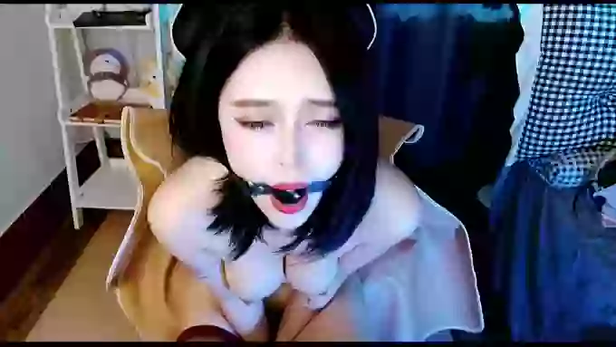 aijiajia