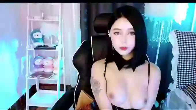 aijiajia