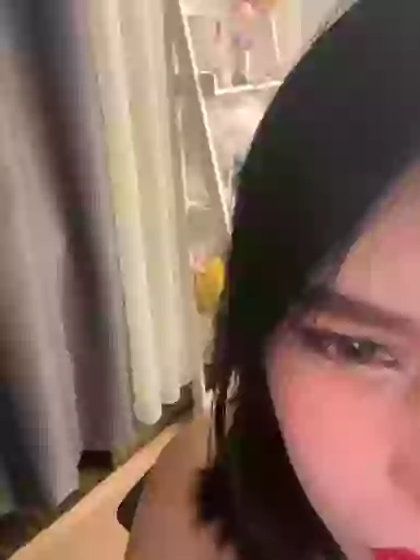 aijiajia