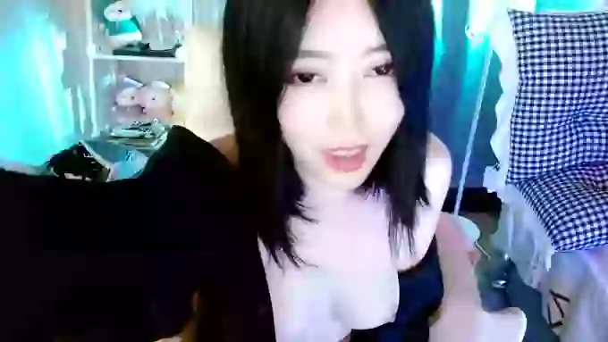 aijiajia