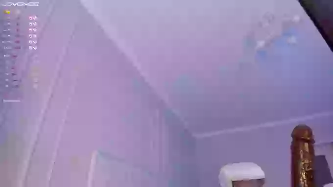 aerri_lee