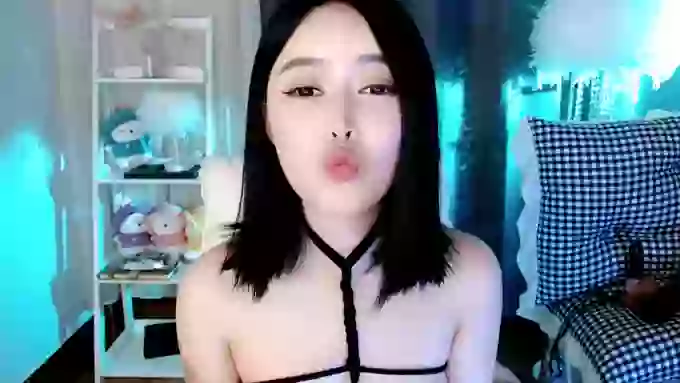 aijiajia
