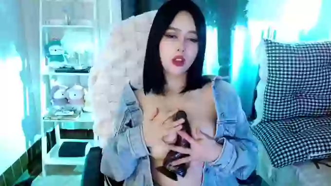 aijiajia