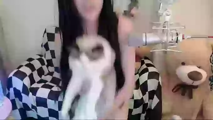 _CHANEL__