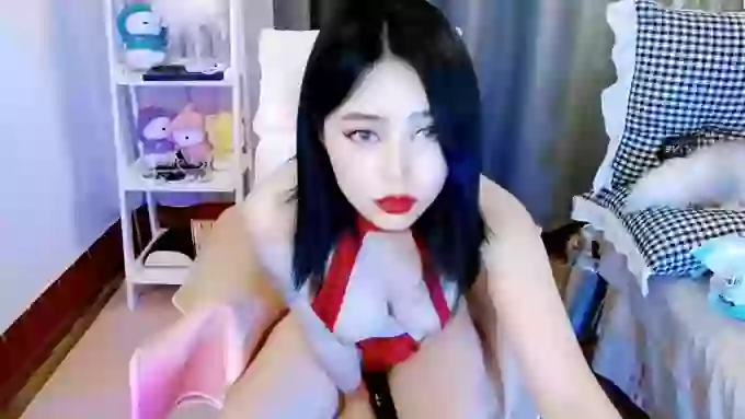aijiajia