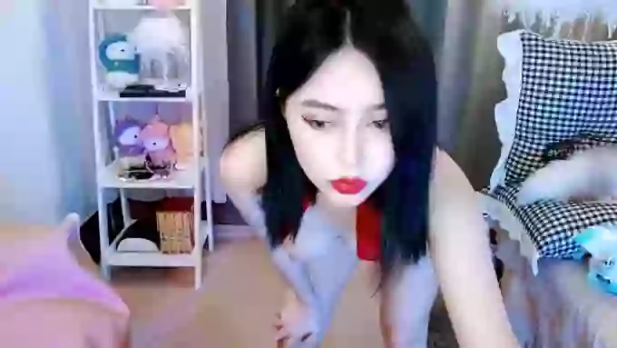 aijiajia