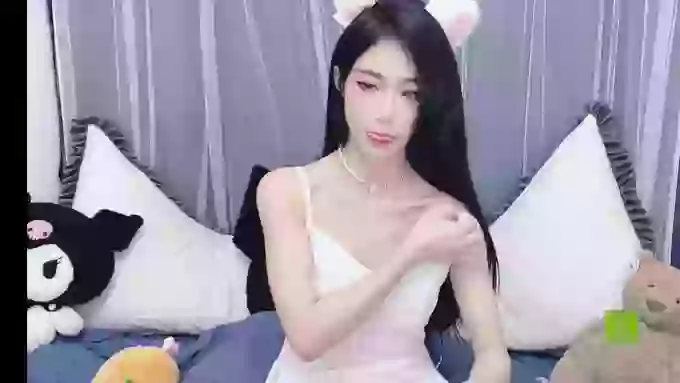 CnAnnie