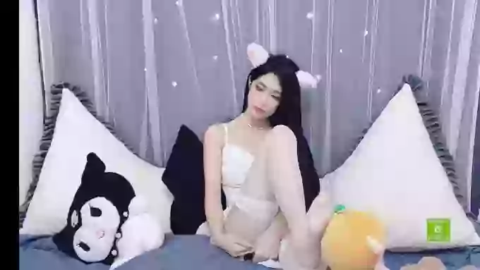 CnAnnie