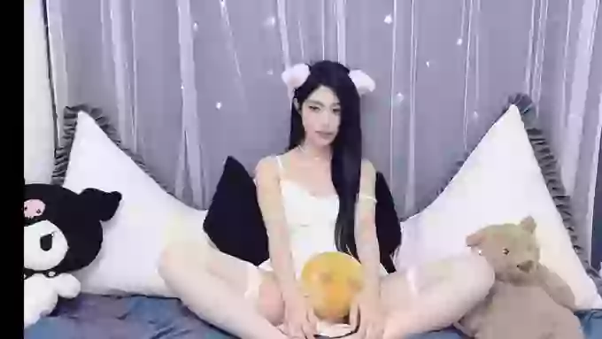 CnAnnie
